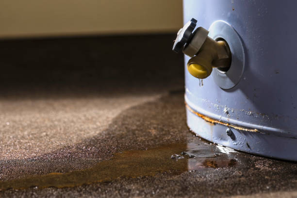 Best Water damage restoration process  in Windsor, VA