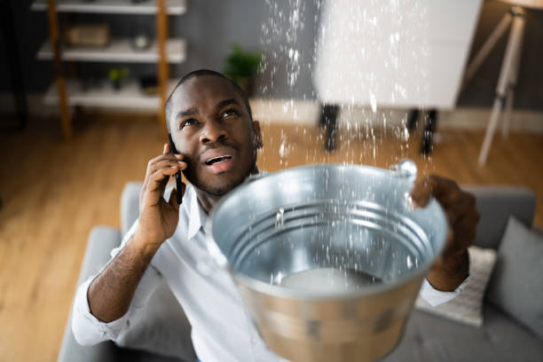 Best Sewage cleanup and water damage restoration  in Windsor, VA