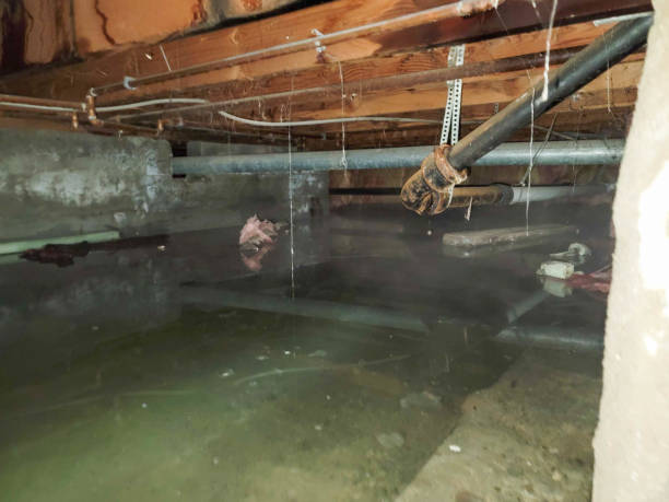 Reliable Windsor, VA Water damage restoration Solutions