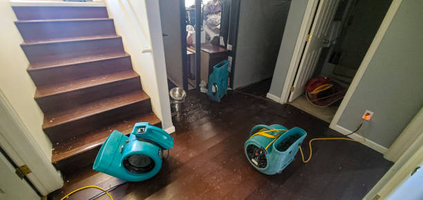 Best Water damage restoration cost  in Windsor, VA