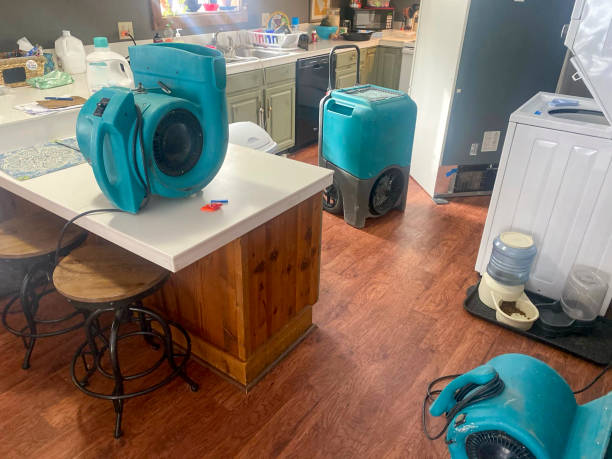 Sewage cleanup and water damage restoration in Windsor, VA