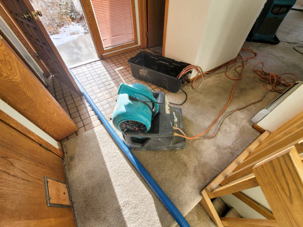 Best 24/7 water damage repair  in Windsor, VA