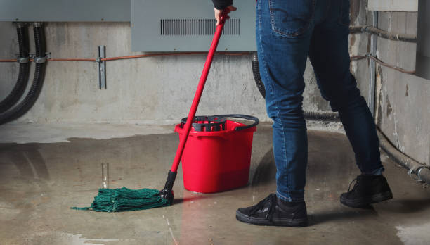 Best Water damage mitigation services  in Windsor, VA