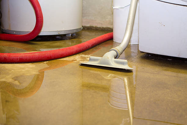 Best Emergency water extraction  in Windsor, VA